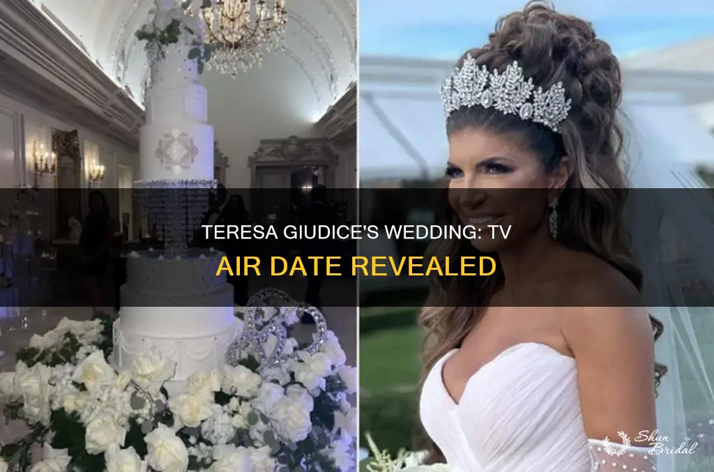 when will teresa giudice wedding be on tv