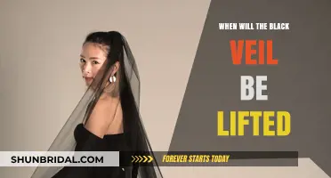 When Will the Black Veil Be Lifted: Unveiling Truths and Insights