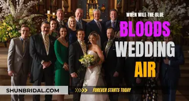 Blue Bloods Wedding: Date and Time Revealed