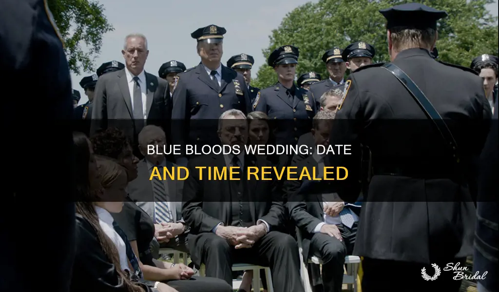 when will the blue bloods wedding air