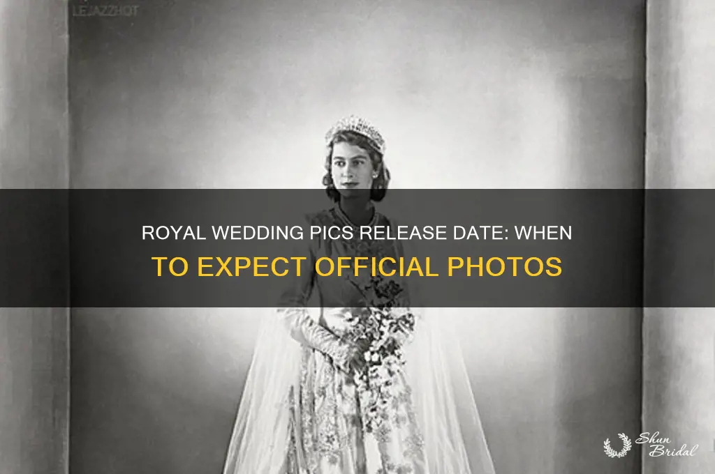when will the official royal wedding pics be released