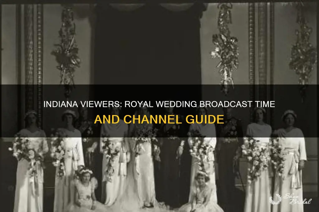 when will the royal wedding air in indiana