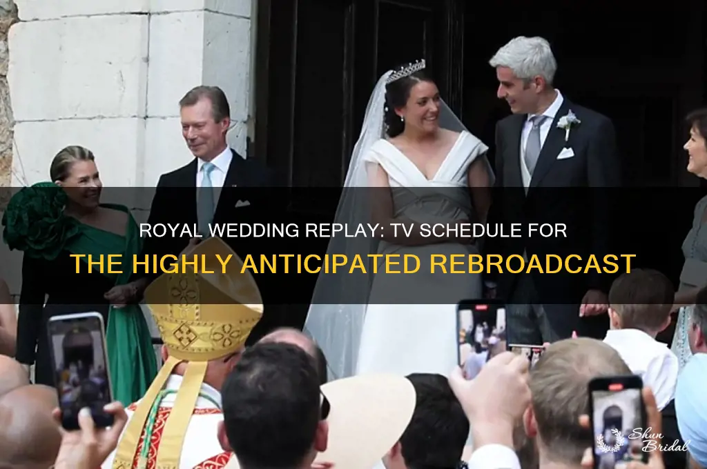 when will the royal wedding be replayed on television