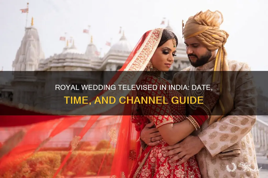 when will the royal wedding be televised in india