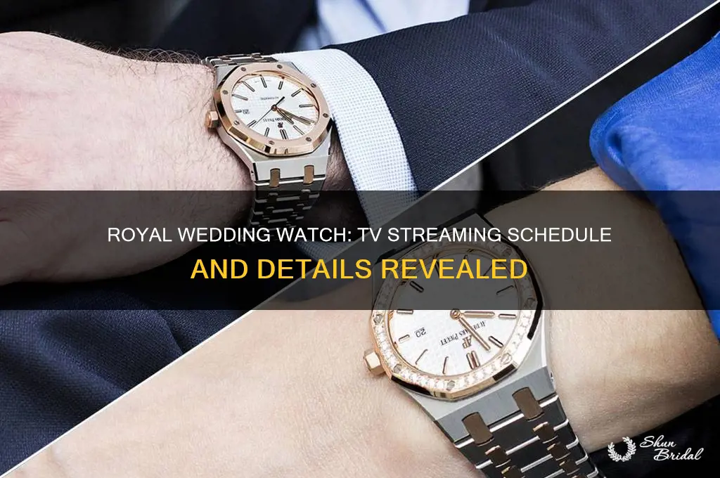 when will the royal wedding watch be streamed on tv