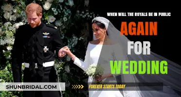 Royal Wedding Public Appearance: When Will We See Them Again?
