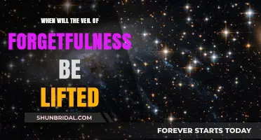 Unveiling Eternity: When Will the Veil of Forgetfulness Lift?