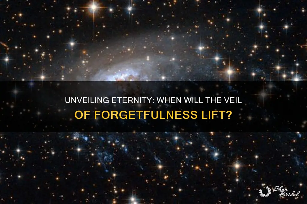 when will the veil of forgetfulness be lifted