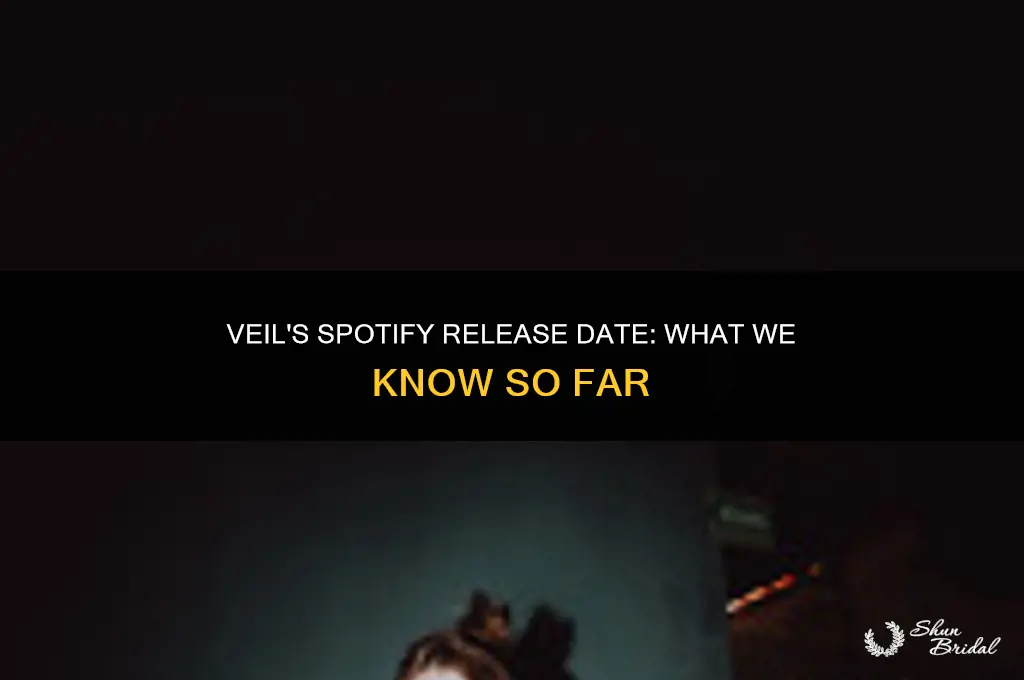 when will veil be on spotify