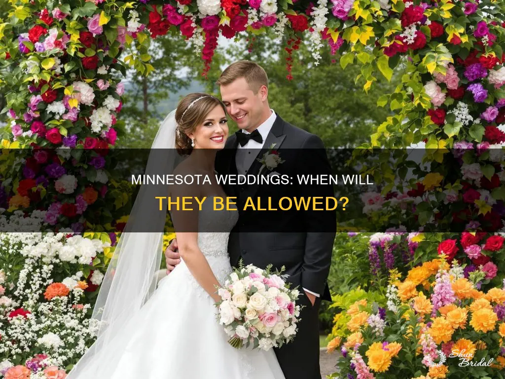 when will weddings be allowed in minnesota