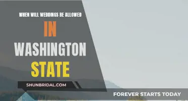 Washington Weddings: When Will They Return?