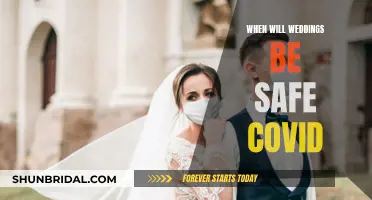 Postponed Weddings: When Can We Safely Celebrate?
