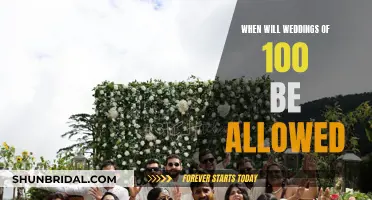 Large Weddings: When Will 100+ Guests Be Allowed?