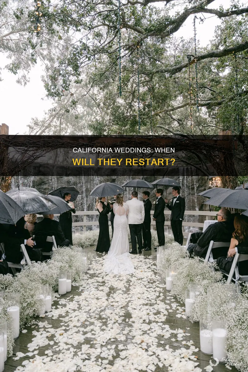 when will weddings resume california