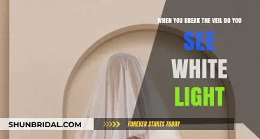 Breaking the Veil: Unveiling the Mystery of the White Light