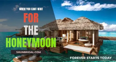 The Honeymoon: Awaiting the Adventure of a Lifetime