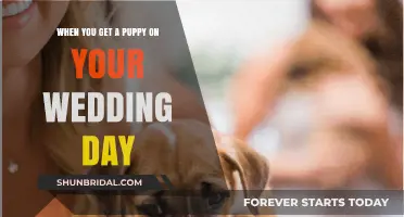 A Furry Fairytale: Welcoming a Puppy on Your Wedding Day