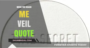 Unraveling Time's Secrets: Exploring 'When You Reach Me' Veil Quote