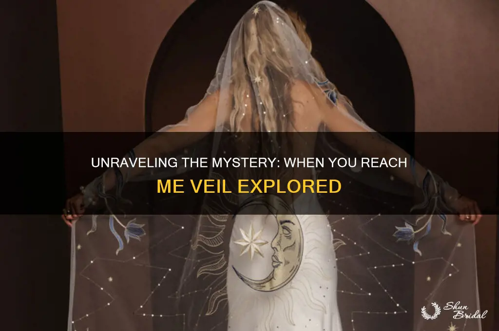 when you reach me veil