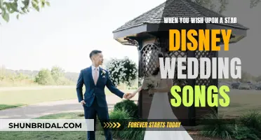 Disney Wedding Songs: When You Wish Upon a Star