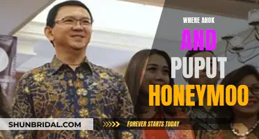 Ahok and Puput's Romantic Getaway: Honeymooning in Paradise