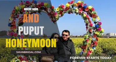 Ahok and Puput's Romantic Honeymoon Destination Revealed: Where They Escaped
