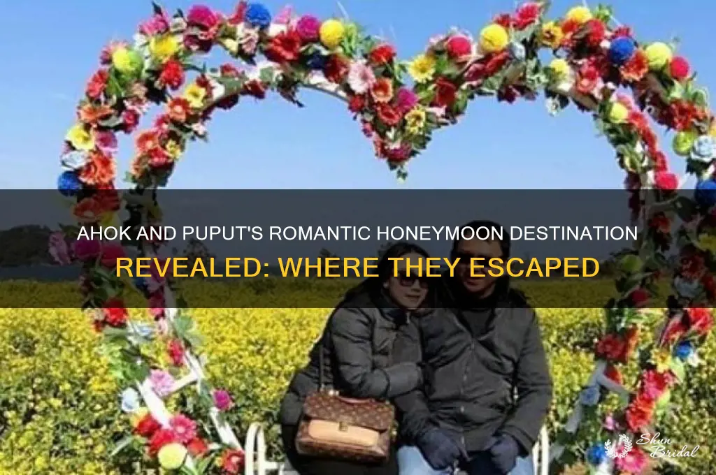 where ahok and puput honeymoon