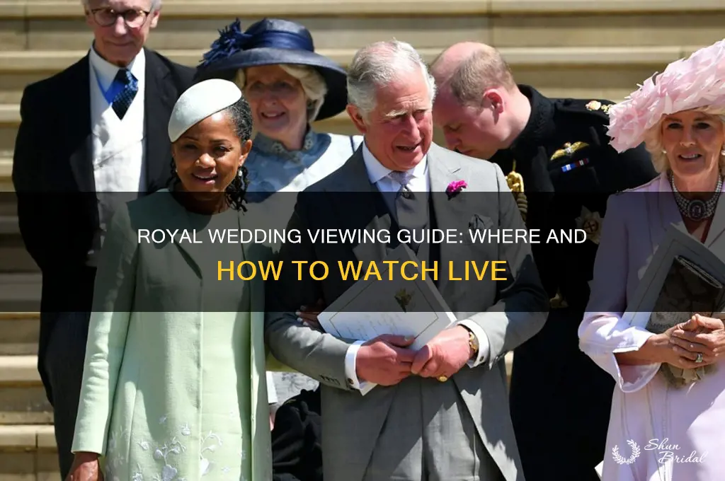 where and how to watch royal wedding