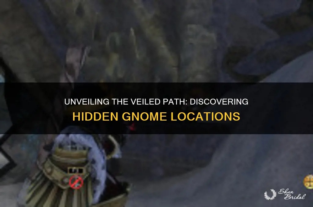 where are all the gnomes in the veiled path