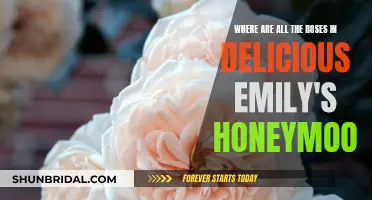 Finding Roses in Emily's Honeymoon: A Comprehensive Guide
