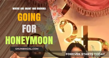 Anant and Radhika's Honeymoon Destination: A Romantic Getaway Unveiled