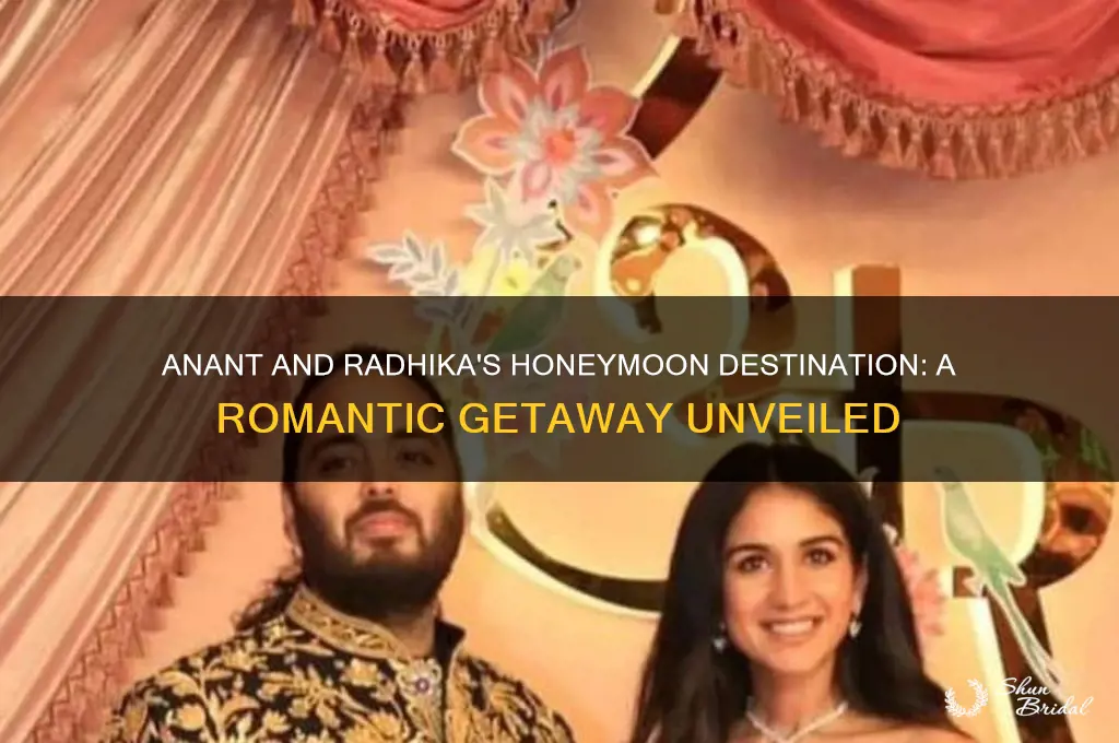 where are anant and radhika going for honeymoon