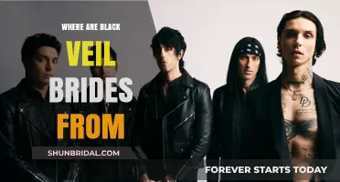 Unveiling the Origins: A Deep Dive into Black Veil Brides' Hometown