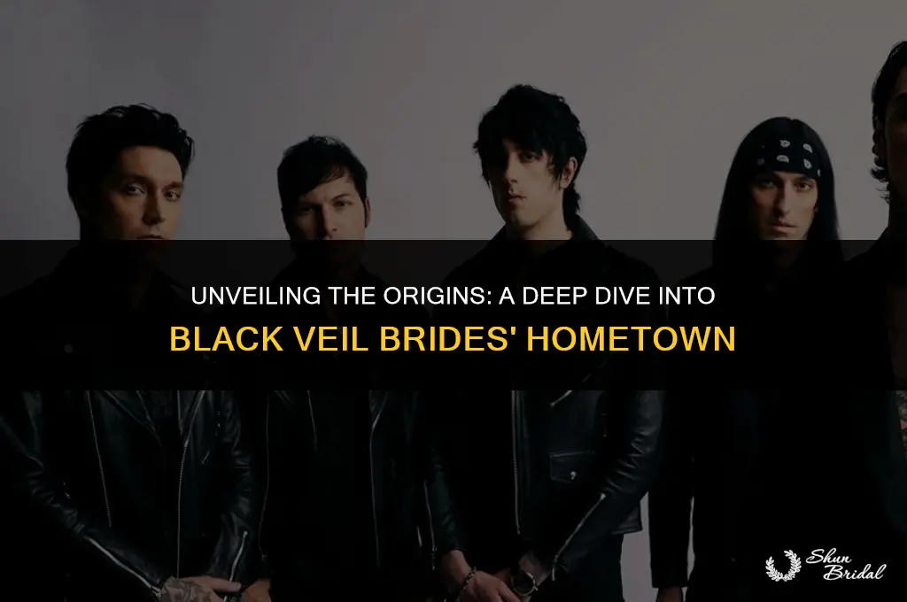 where are black veil brides from