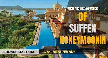 The Sussex's Honeymoon: A Relaxing Escape to [Location]