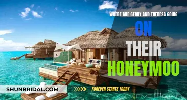Gerry and Theresa's Honeymoon: An Adventure to Remember