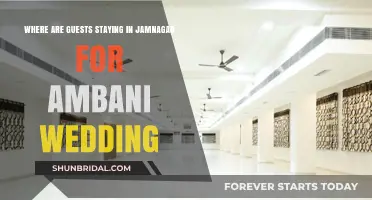 Jamnagar Accommodations: Where Guests Are Staying for the Ambani Wedding