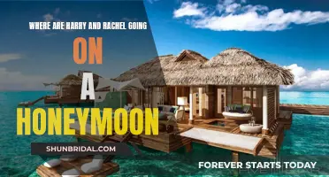 Harry and Rachel's Honeymoon Destination: Where to?