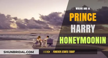 Prince Harry's Honeymoon Destination: Where Are They Escaping To?