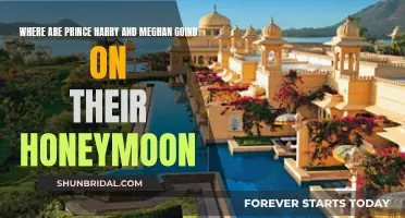 The Royal Honeymoon: Harry and Meghan's Post-Wedding Vacation