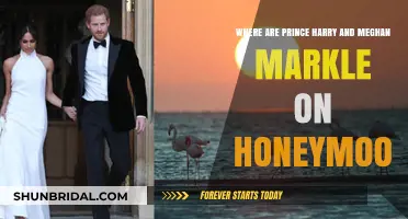 Prince Harry and Meghan Markle's Honeymoon Destination Revealed: Where Are They?
