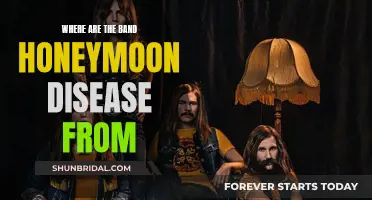 Honeymoon Disease: A Band from Sweden
