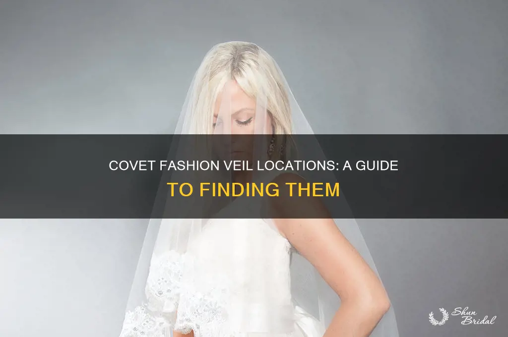 where are veils in covet fashion