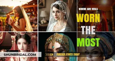 Global Veil Traditions: Exploring Cultures Where Veils Are Most Prevalent