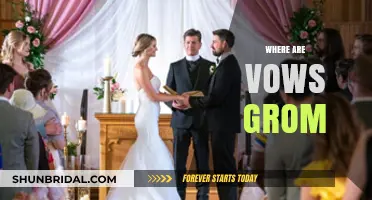 Unveiling the Origins: Tracing the Roots of Vows Grom