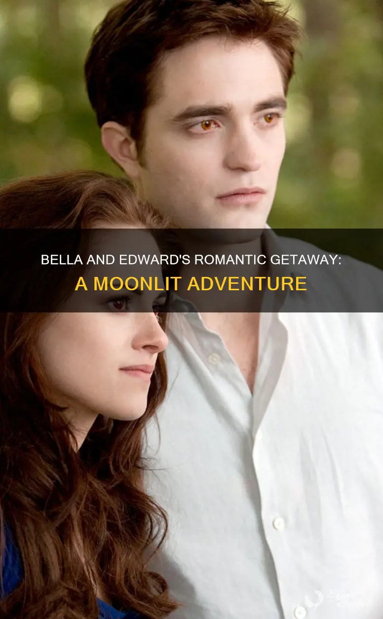 where bella and edward honeymoon