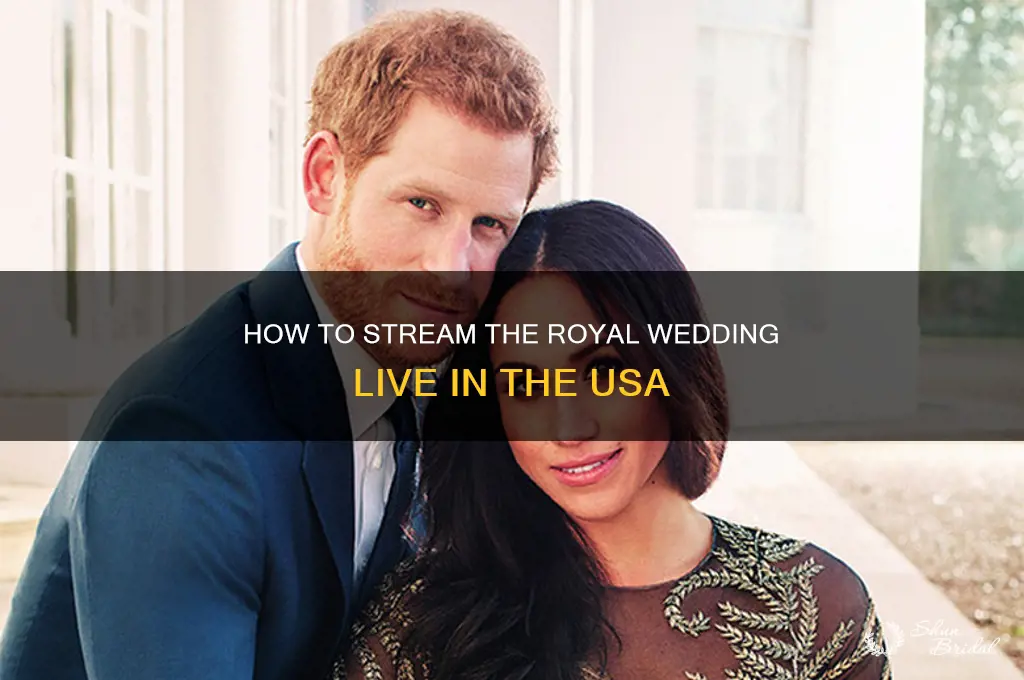 where ca you stream the royal wedding in usa