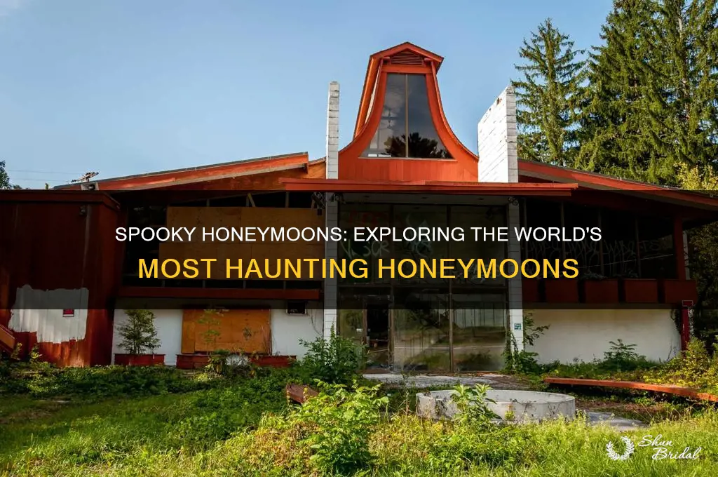 where can haunted honeymoon be seen