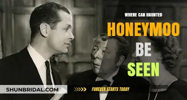 Where to Watch Haunted Honeymoon: Streaming and Viewing Options