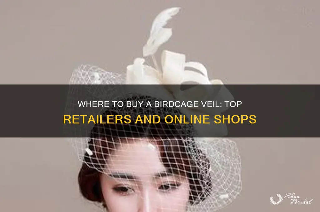 where can i buy a birdcage veil